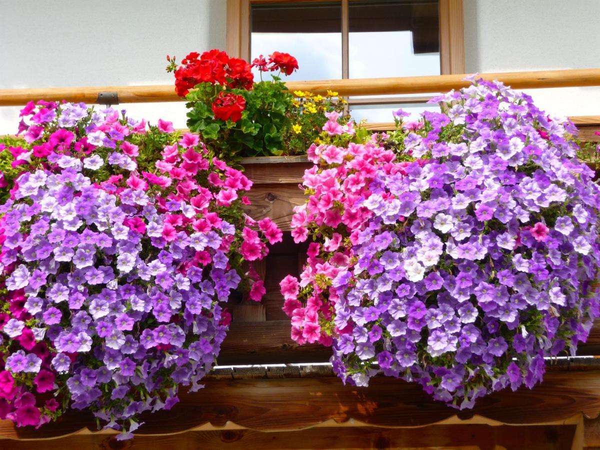Ferienwohnung Huberhof Oberndorf in Tirol Εξωτερικό φωτογραφία